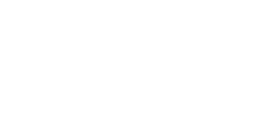 Elmet Sebastian Zieliński - logo